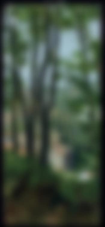 Paesaggio (preview)