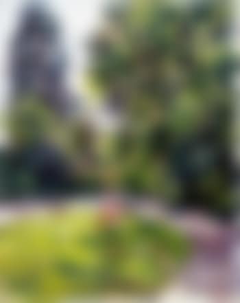 Dans Mon Jardin (preview)