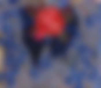 Flor Rosa (preview)