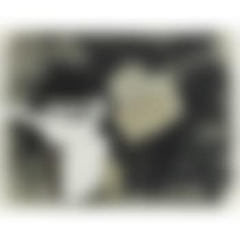 Untitled (preview)