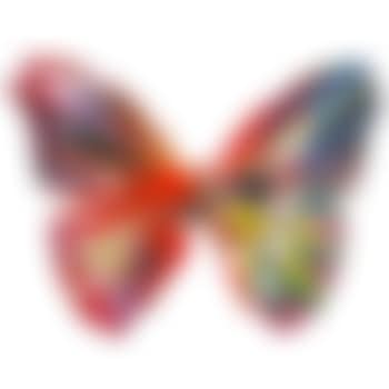 Butterfly Spin Painting (Created At Damien Hirst  Spin Workshop) (preview)