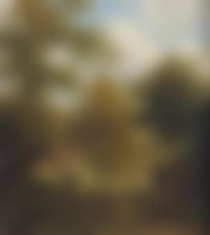 Boomrijk landschap met boerewoningen: a wooded landscape with shepherds (preview)