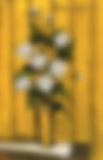 Fleurs De Houx (preview)