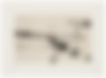 Untitled #4 (preview)