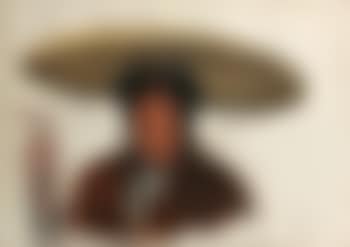 Tonkinoise (preview)