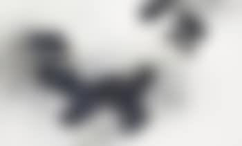 Abstract (preview)
