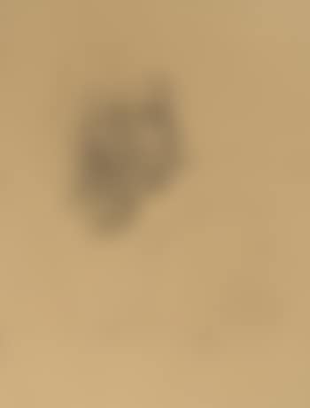 Untitled (Binny); Untitled (Jenny) (preview)