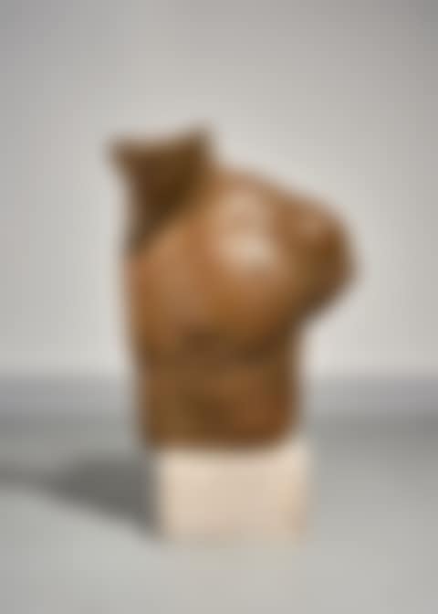 Asclepios (preview)