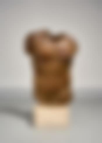 Perseus (preview)