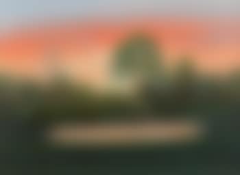 Sunset Pasture Scene with Deer, Birds and Pond (preview)
