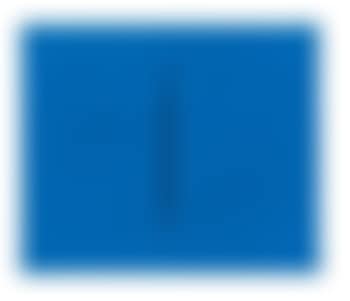 Concetto Spaziale, Attesa (preview)