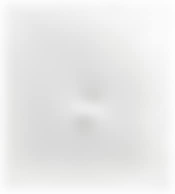 Un ovale bianco (preview)