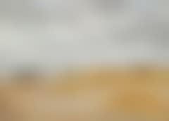 Skagen Beach (preview)