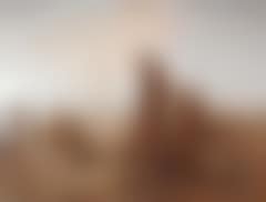 To Munke.  Two munks (preview)