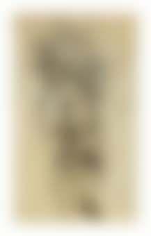 Standing female nude (preview)
