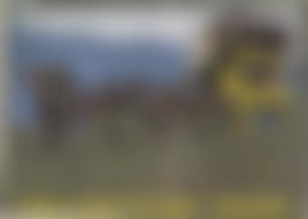 YELLOWSTONE-PARK (preview)