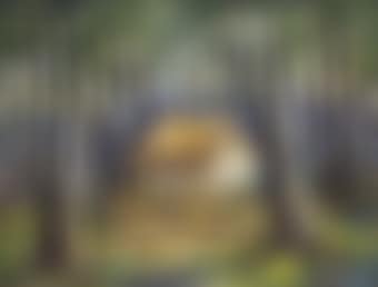 La maison du garde - for�t Normande (preview)