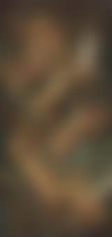Flying cherubs with exotic birds (preview)