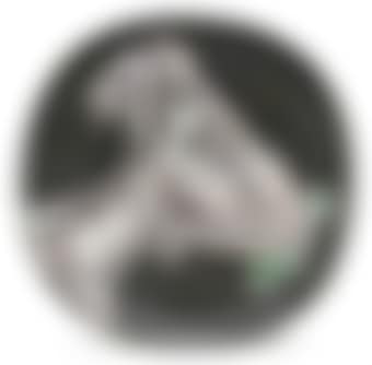 Goat's Head in Profile (A.R. 112) (preview)