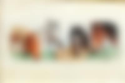 A Dog and Four Horses (preview)