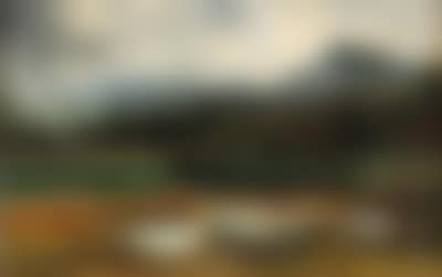 Heron by a Tree-Lined Mountain Lake (preview)