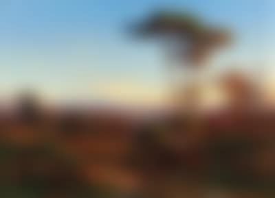 View of Rome as seen from Monte Mario (preview)