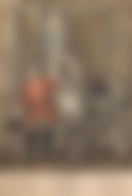 (Ulm 1698-1767 Augsburg) 9 Blätter der Serie "Neue Reit Schul vorstellend einen vollkommenen Reuter in allen Lectionen (preview)