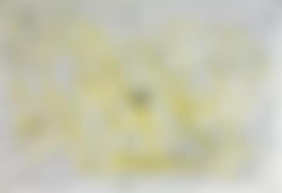 www.nitschmuseum.a (preview)