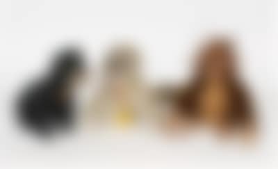 Marke Steiff (preview)