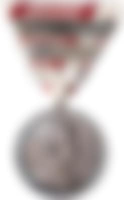 Silberne TM Kaiser Karl I. (preview)