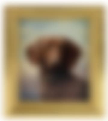 (Wien 1836-1918 Graz) Dackel (preview)