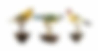 Holz (preview)
