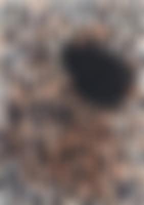 (born in Steyr/Upper Austria in 1958) Untitled (preview)