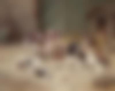 Contented Dog’s Life (preview)