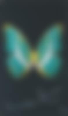 Souls (preview)