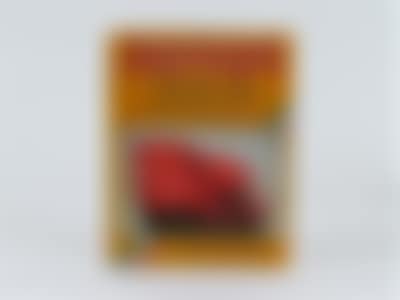 Buch von Marcell Massini (preview)