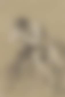 Male nude seated with his arms crossed (preview)