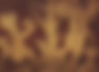 Anatomy of Ecstasy (Arboreal Metaphor) (preview)