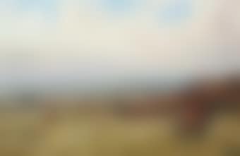 The Quorn on the scent (preview)