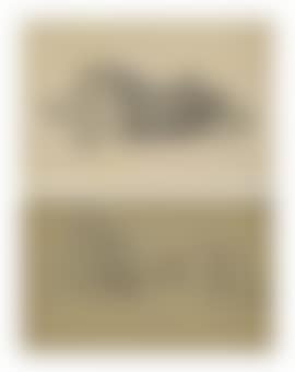 A study of a lioness sleeping; and Two écorché studies of a lioness (preview)
