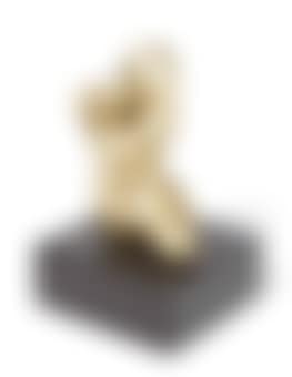 Torse-profil (preview)