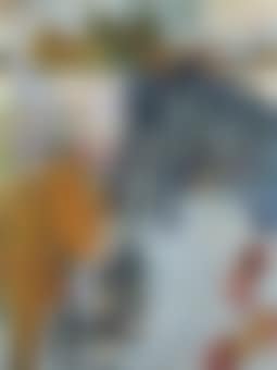 Drinks beside the canal (preview)