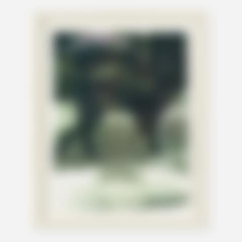 Untitled (preview)