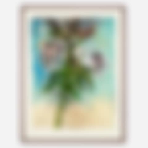 The Sky & Lillies (from Flowers in Manhattan) (preview)