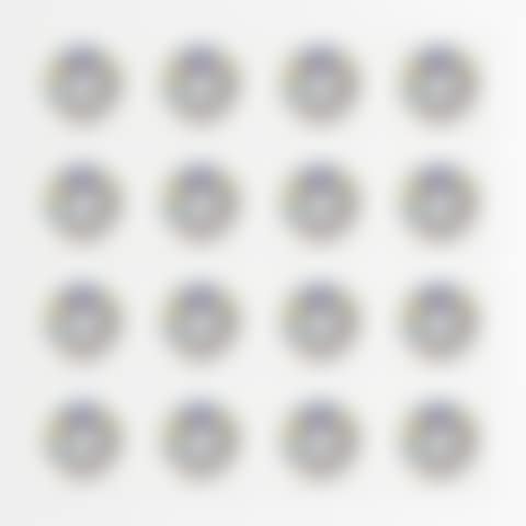 collection of sixteen Paper Plates (preview)