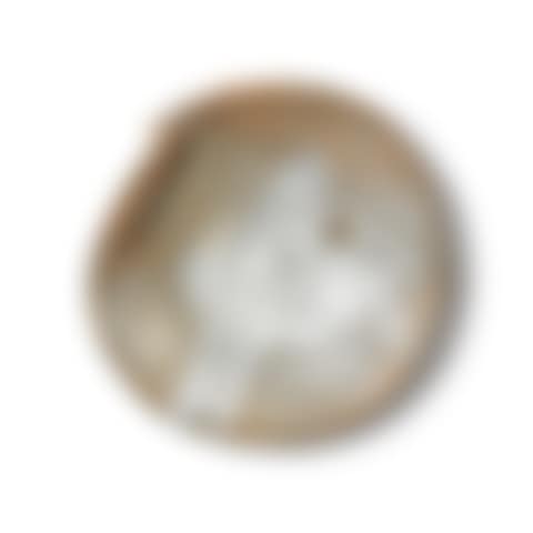 untitled (X-plate) (preview)