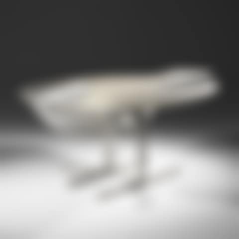 Oiseaux D'Argent (preview)
