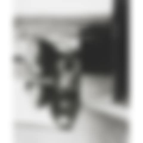 untitled (Still Life) (preview)