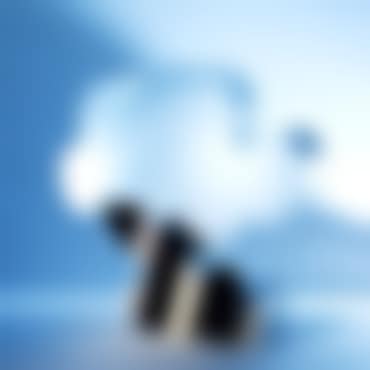 Volumineux (preview)