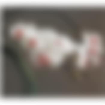 Orchid IV (preview)